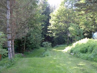 viel Natur