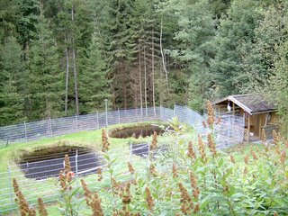 Teichanlage mit Fischerhütte